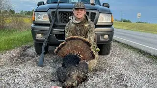 Conservation of wild turkeys.