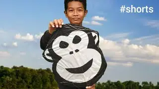 Monkey Kite with Smile Face 🐵 #shorts
