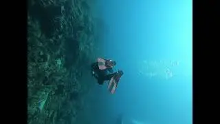 South Florida diving