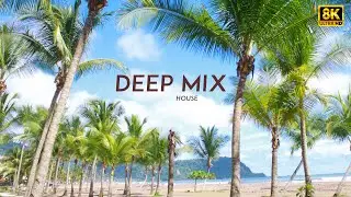 Arctic Hush ❄️ | Winter Chill House Ambience | Musically Hub