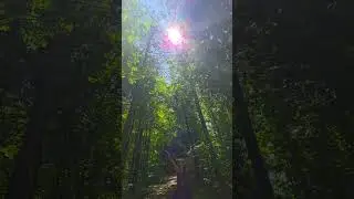 #magical #moments #dancing #withmy #spiritguide #caughtonvideo #viral #spirituality #nature #energy