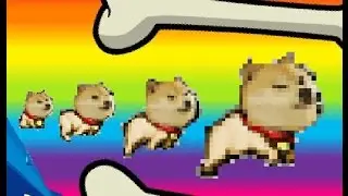 Trailer for dank doge meme run