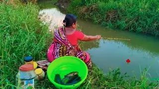 FISHING VIDEO🎣 || Skilled woman fishing with a in village canal || Best hook fishing 
