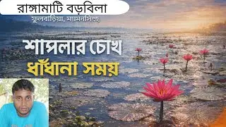 শাপলার চোখ ধাঁধানো সময়। রাঙ্গামাটি বড়বিলা ফুলবাড়িয়া ময়মনসিংহ। 