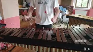 grega goren&scaron;ek - festival de ritmo (middle section) live on woodophone + schlagkraft xrb-1 mallets