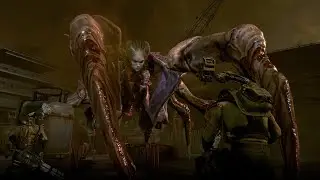 Phoenix Point