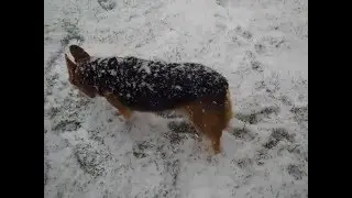 Ebby Snow Angels