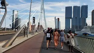 Erasmus Bridge, Rotterdam, Holland, The Netherlands (2025) (4K) WALKING TOUR