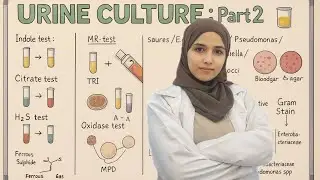 زراعة البول الجزء الثاني | من الصفر للإحتراف 