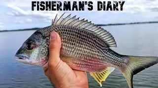 Unweighted Bream Fishing In Clarence River ~ Fisherman's Diary Ep 572