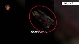 Tregtonte lëndë piroteknike/ Tiranë, arrestohet 22 vjeçari