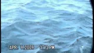 Team Vitamin Sea Too - 2009 World Sailfish Championship - 50 Sailfish in One Day