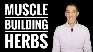 Herbs & Adaptogens for Building Muscle