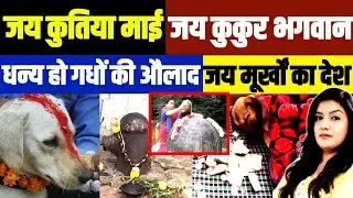 धर्म की आड़ में मूर्खता की हद पार • खंभा और LED बल्ब में बदलाव 