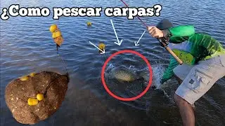 &iquest;COMO PESCAR CARPAS? - Tips y consejos 🎣 | Hermoso d&iacute;a de pesca ✨️
