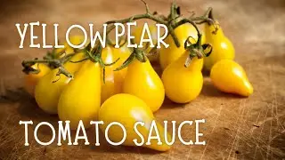 YELLOW PEAR TOMATO SAUCE #yellowpeartomato #easyyellowtomatorecipe #yellowpear
