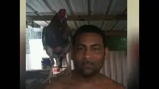 R.I.P Wenchi - Indio