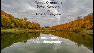 Karabük Yenice Ormanları Şeker Kanyonu Kampı - HD dji mavic mini drone görüntüleri