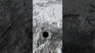 Peshtigo River, Bagley Flowage ice fishing