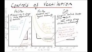 Control of Ventilation Part 3 of 3 (Central and peripheral controls, PaCO2, PaO2 and [H+])
