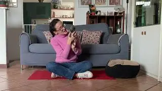 BOB THE DOG! Describing an animal in English - lezione di inglese per bambini