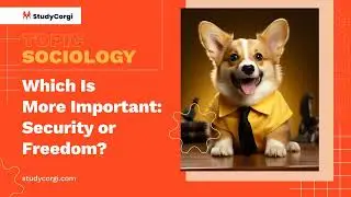 Which Is More Important: Security or Freedom? - Essay Example