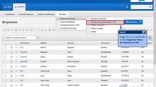 Exportar datos de n&oacute;mina en CSV en el Sistema de Brainbooks