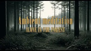 Into the Misty Woods / Ambient / Relax / Meditation