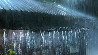 Gentle Night RAIN - Rain Sounds For Sleeping - Thunderstorm Sounds, Relax, White noise, ASMR