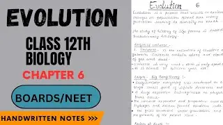 Evolution | Class 12th | Biology | Chapter 6 | Handwritten Notes || Boards / NEET