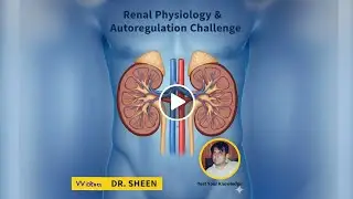 Renal Physiology & Autoregulation Challenge-7