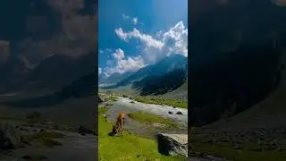 suno to zara🎵❤️ kashmir view🌲#shorts #youtubeshorts #trending #kashmir
