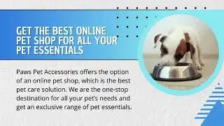 Best Low Price Pet Products Online