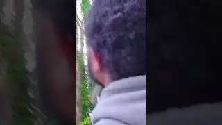 Squirrel 🐿️ Eating Shenanigans 😂 after Lightning Strikes Tree ⚡ 🌲