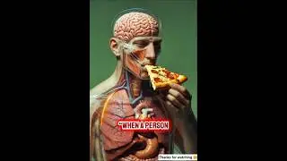 What Really Happens to Your Body When You Eat Pizza? #health #doctor #uk #usa #canada #nutritionfact