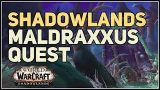 Forging a Champion WoW Maldraxxus