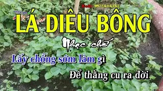 Lá diêu bông - Sao em nỡ vội lấy chồng - Nhạc chế Bài số 113 - KARAOKE HD