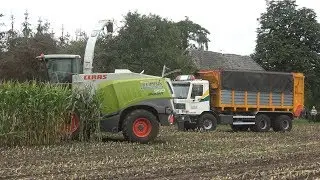 Reimink aan het mais hakselen met Claas Jaguar, Massey Ferguson en Terberg vrachtwagen (2018)