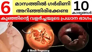Know the important part of baby's development in 6 months | 6 Month Pregnancy Malayalam/six Month