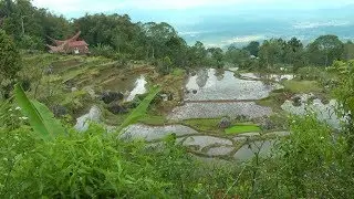 INDONESIA walking near Rantepao (Sulawesi)