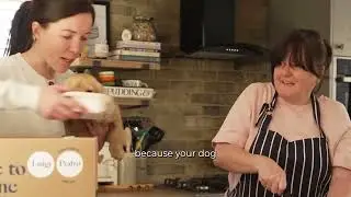 Why We Cook Our Dog Food in Small Batches