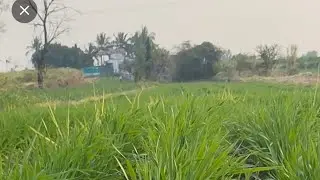 #फोटो लगाकार  लाईव्ह चलाये