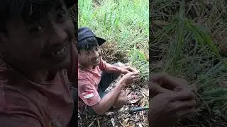 Berburu sarang semut rang rang atau kroto