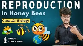 How do Honey Bees Reproduce? | Sex Determination in Honey Bees🐝 | Class 12 Biology Ch 4 -Nikhil Sir