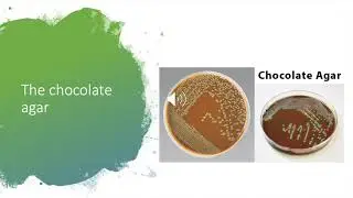 Enriched media video