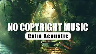 Soulful Quest | Calm Acoustic | No Copyright Music
