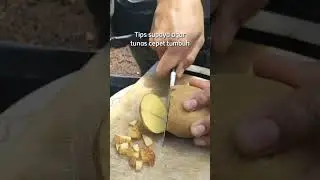 Cara Instant Nanam Kentang Tanpa Beli Benih Baru