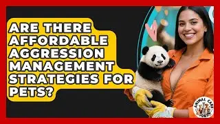 Are There Affordable Aggression Management Strategies For Pets? - Animal Care Jobs