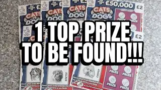 THE LAST TOP PRIZE - CATS VS DOGS SCRATCHCARD