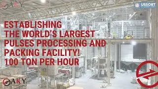 Establishing the World&rsquo;s Largest Pulses Processing and Packing Facility! 100 tons/year